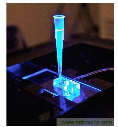 加州柏克萊大學所開發的&ldquo;心臟單芯片&rdquo;用以放置從成人干細胞產出的人類心臟組織，該系統有一天可望替代實驗動物應用于藥物安全篩檢