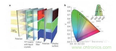  LCD顯示器示意圖。TFT表示薄膜晶體管（thin-film transistor）。